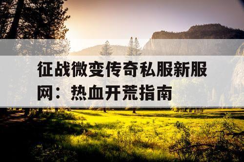 征战微变传奇私服新服网：热血开荒指南