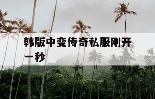 韩版中变传奇私服刚开一秒