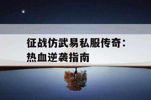 征战仿武易私服传奇：热血逆袭指南