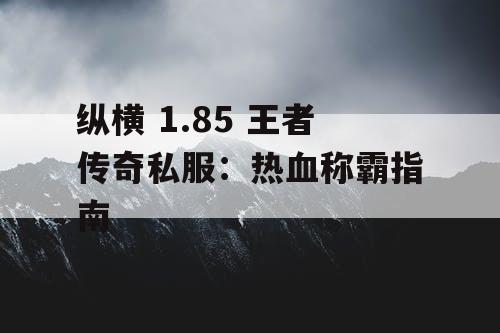 纵横 1.85 王者传奇私服：热血称霸指南