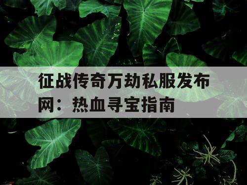 征战传奇万劫私服发布网：热血寻宝指南