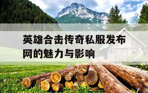 英雄合击传奇私服发布网的魅力与影响