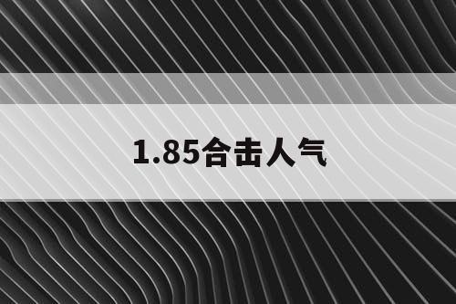 1.85合击人气
