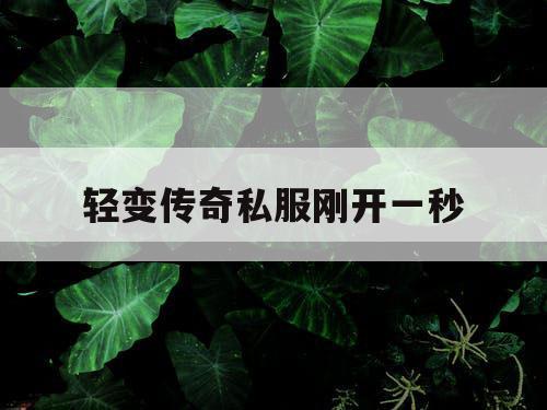 轻变传奇私服刚开一秒