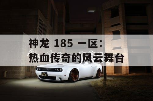 神龙 185 一区：热血传奇的风云舞台