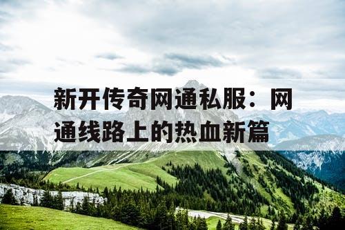 新开传奇网通私服：网通线路上的热血新篇