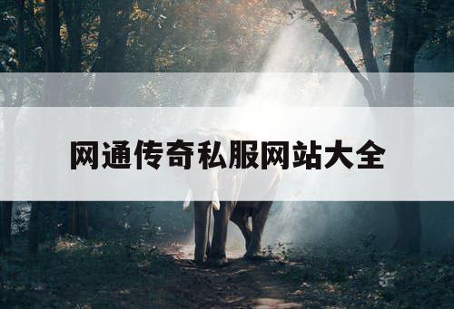 网通传奇私服网站大全