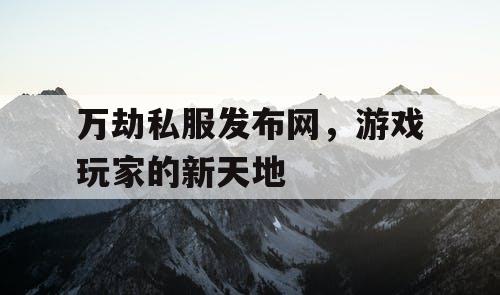 万劫私服发布网，游戏玩家的新天地
