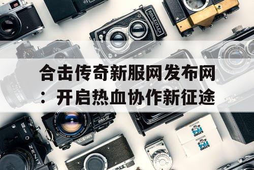 合击传奇新服网发布网：开启热血协作新征途