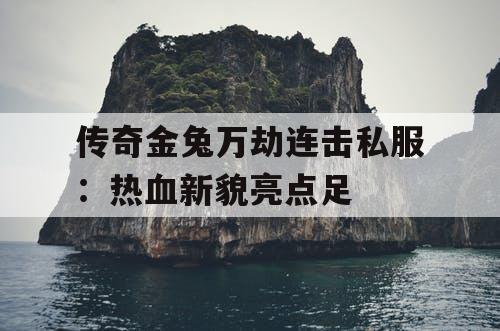 传奇金兔万劫连击私服：热血新貌亮点足