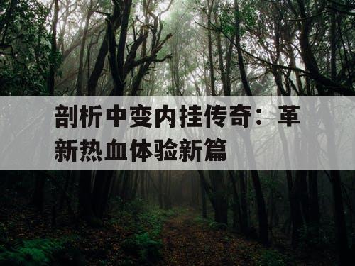 剖析中变内挂传奇：革新热血体验新篇