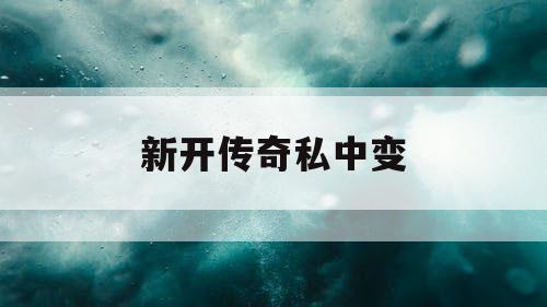 新开传奇私中变