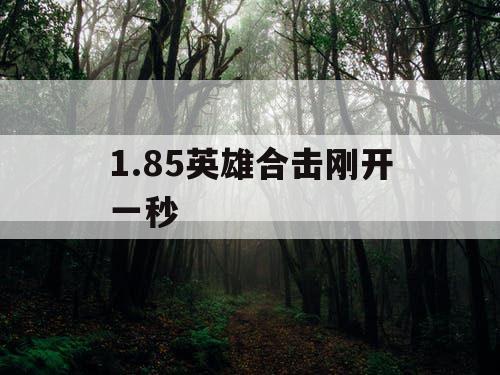 1.85英雄合击刚开一秒