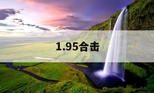 1.95合击