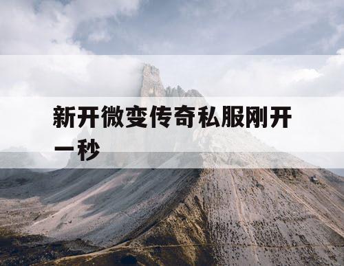 新开微变传奇私服刚开一秒