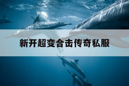 新开超变合击传奇私服