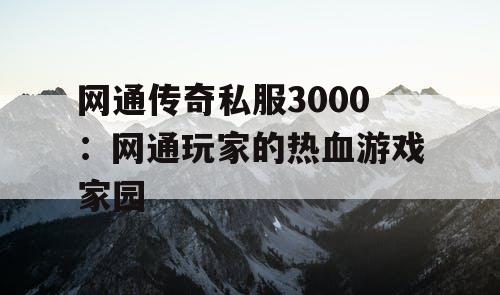 网通传奇私服3000：网通玩家的热血游戏家园