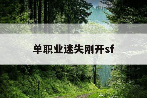 单职业迷失刚开sf