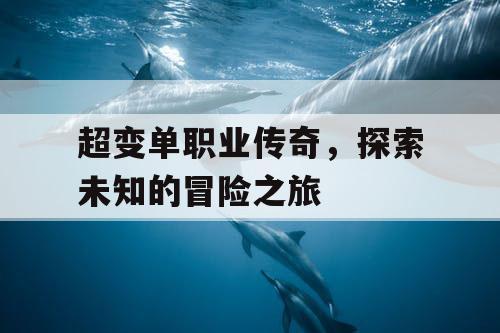 超变单职业传奇，探索未知的冒险之旅