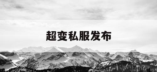 超变私服发布