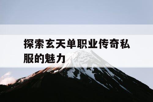 探索玄天单职业传奇私服的魅力