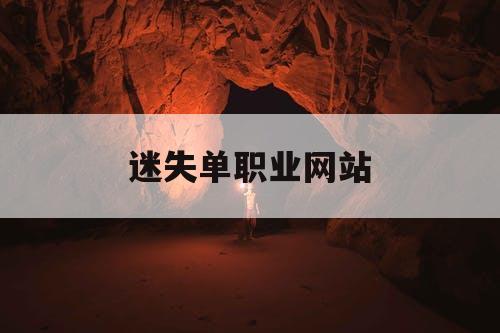 迷失单职业网站