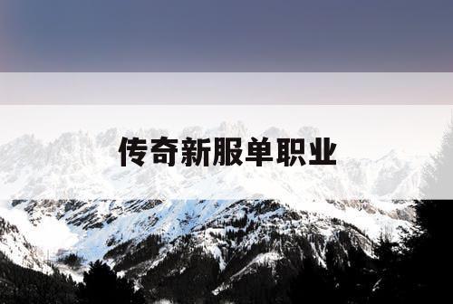 传奇新服单职业