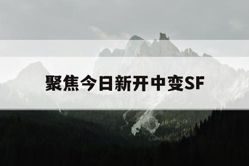 聚焦今日新开中变SF