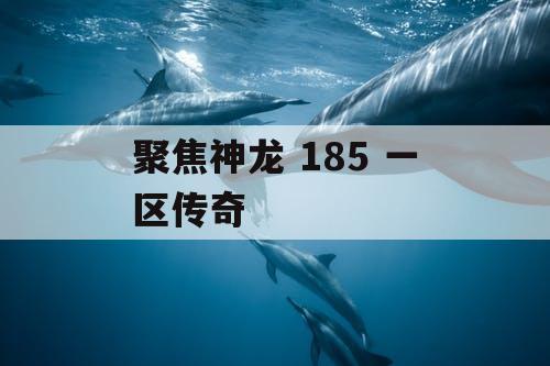 聚焦神龙 185 一区传奇