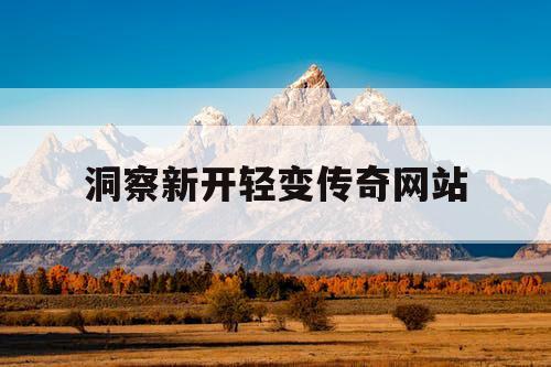 洞察新开轻变传奇网站
