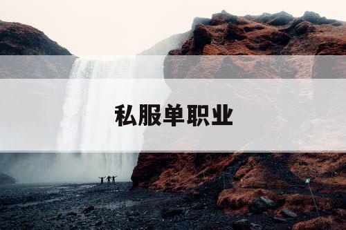 私服单职业
