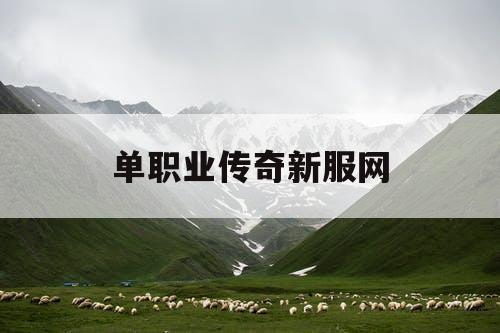 单职业传奇新服网