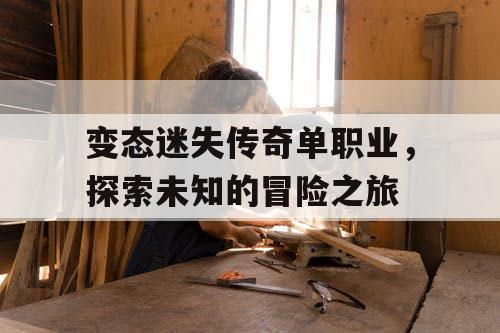 变态迷失传奇单职业，探索未知的冒险之旅