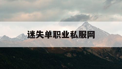 迷失单职业私服网