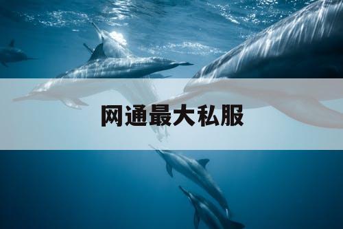 网通最大私服
