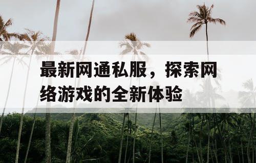 最新网通私服，探索网络游戏的全新体验