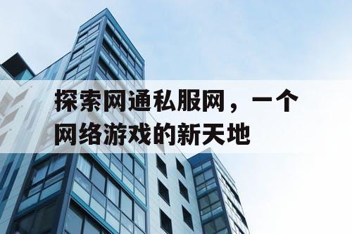 探索网通私服网，一个网络游戏的新天地