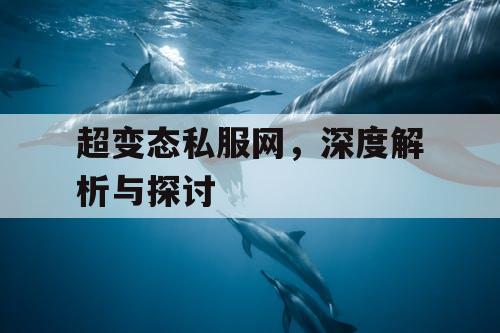 超变态私服网，深度解析与探讨