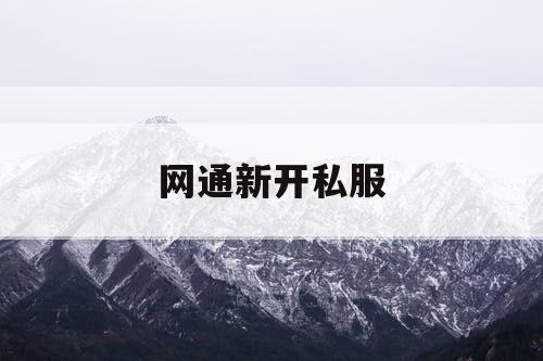 网通新开私服