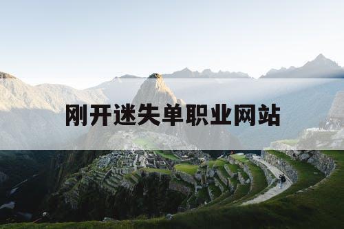 刚开迷失单职业网站