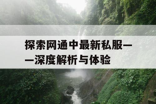 探索网通中最新私服——深度解析与体验