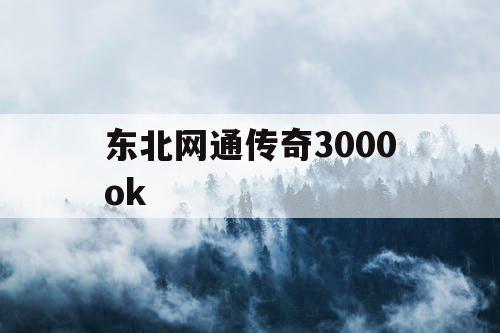 东北网通传奇3000ok