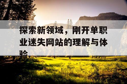 探索新领域，刚开单职业迷失网站的理解与体验