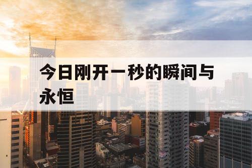 今日刚开一秒的瞬间与永恒