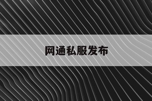 网通私服发布