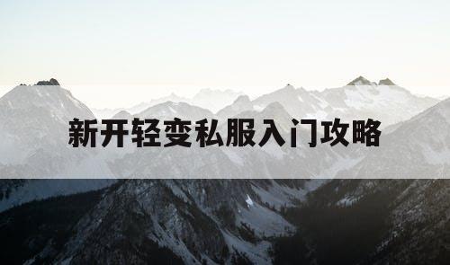 新开轻变私服入门攻略