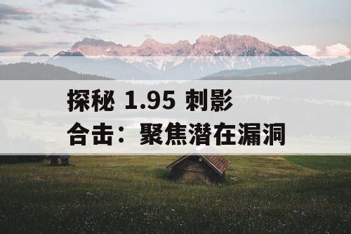 探秘 1.95 刺影合击：聚焦潜在漏洞