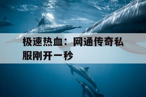 极速热血：网通传奇私服刚开一秒