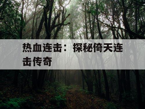 热血连击：探秘倚天连击传奇