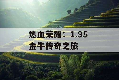 热血荣耀：1.95 金牛传奇之旅